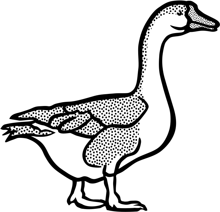 Medium Image - Goose Black And White (800x775)