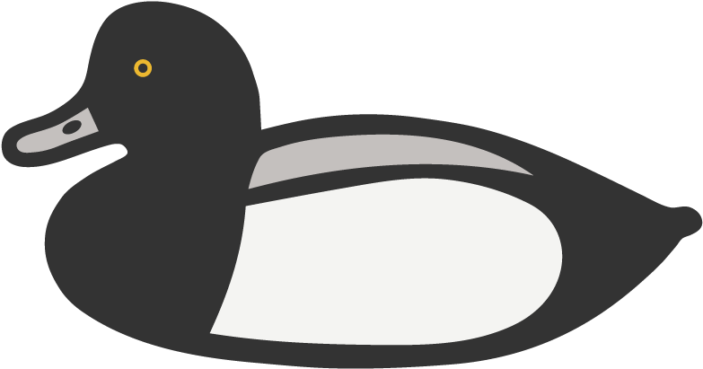 D - E - C - Recognizes South Shores Involvement In - D - E - C - Recognizes South Shores Involvement In (1000x1000)