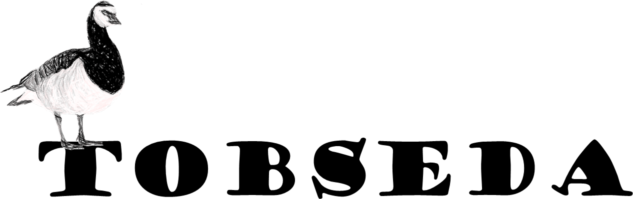 Goose Migration Research In Arctic Russia - Dark Star Orchestra (1318x435)