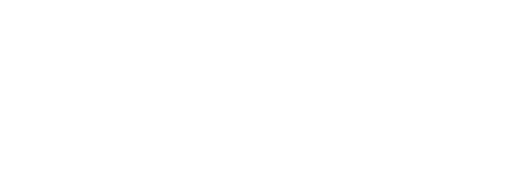 Goose The Nun (762x261)