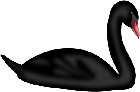 Black And White Scrap - Black Swan (464x307)