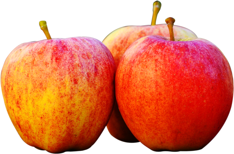 Net Background, Apple - Apple Images Png (1007x666)