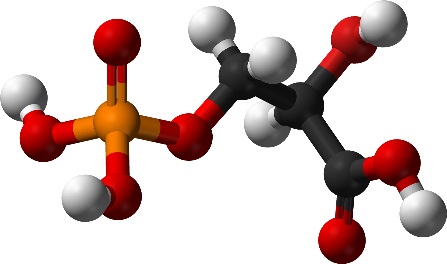 3 Phospho D Glyceric Ac - Trans Butadiene (1602x989)