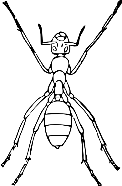 Ant Outline Clip Art - Line Drawing Of An Ant (390x592)