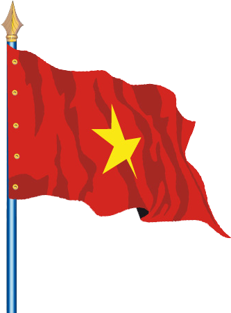 Flag Of Vietnam (458x458)