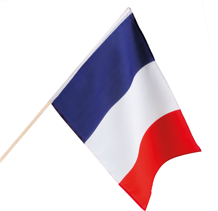 Drapeau Français Sur Tige - French Flag (700x700)