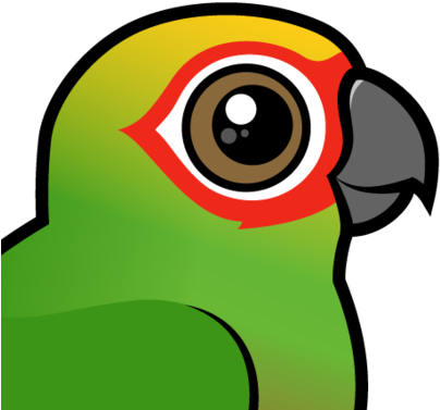 About The Golden-capped Parakeet - Golden Capped Conure Cartoon (440x440)