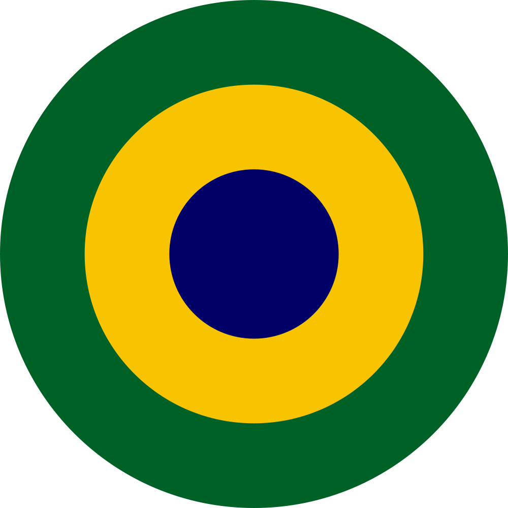 Brazilian Navy Aviation Roundel - Van Gogh Starry Night (1000x1000)