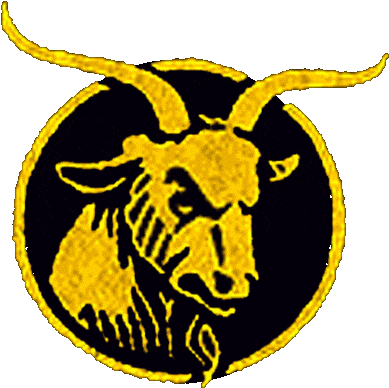 Navy Midshipmen Logo - Navy Midshipmen (400x400)