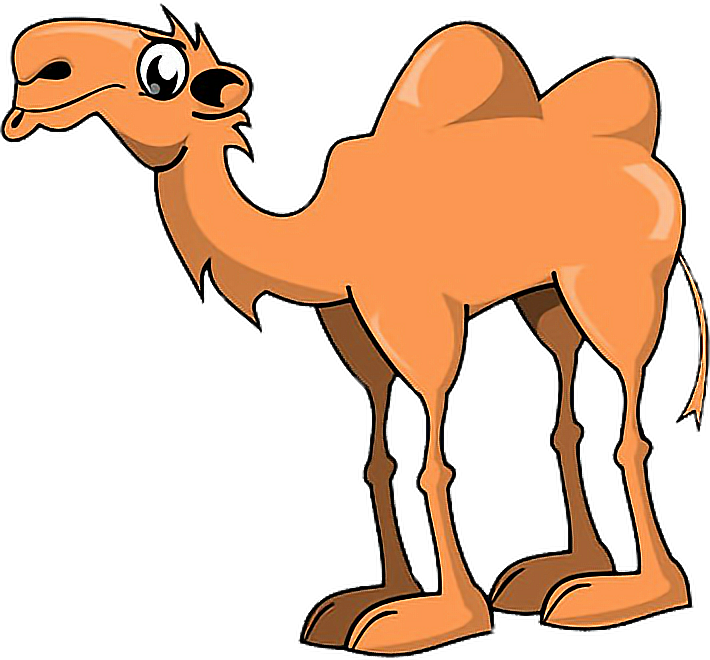 Animals Camel Hump Humpday Freetoedit - Two Humped Camel Cartoon (710x660)