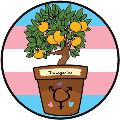 Transgender Positivity - 10 Off (500x500)