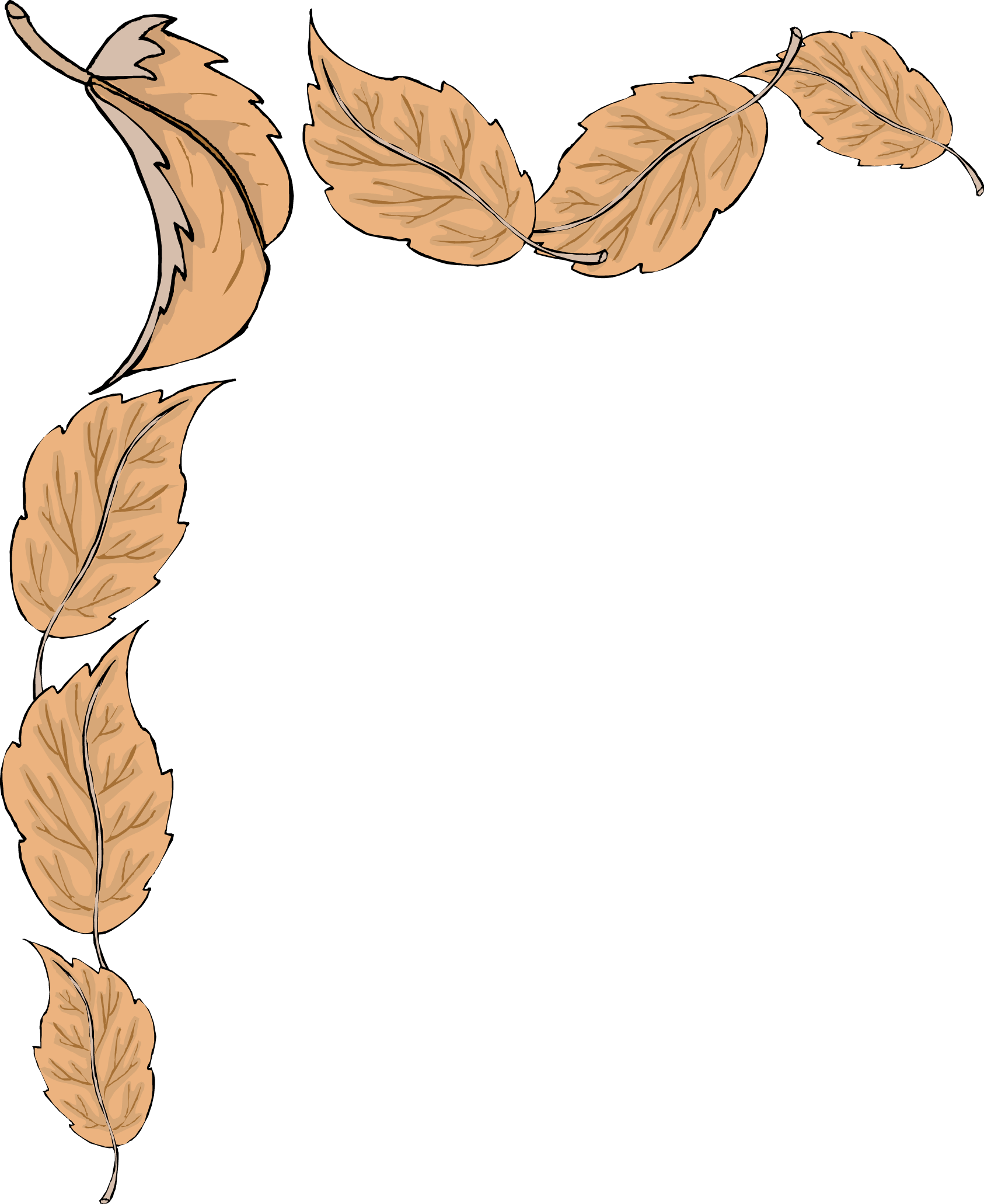 10 Fall Leaves Border Clipart - Fall Leaves Border (1686x2062)