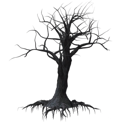 Spooky Tree Clipart - Drawing (640x480)