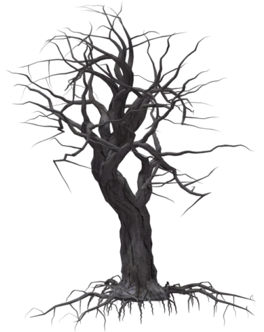 Spooky Tree Clipart - Creepy Tree Transparent Background (640x480)