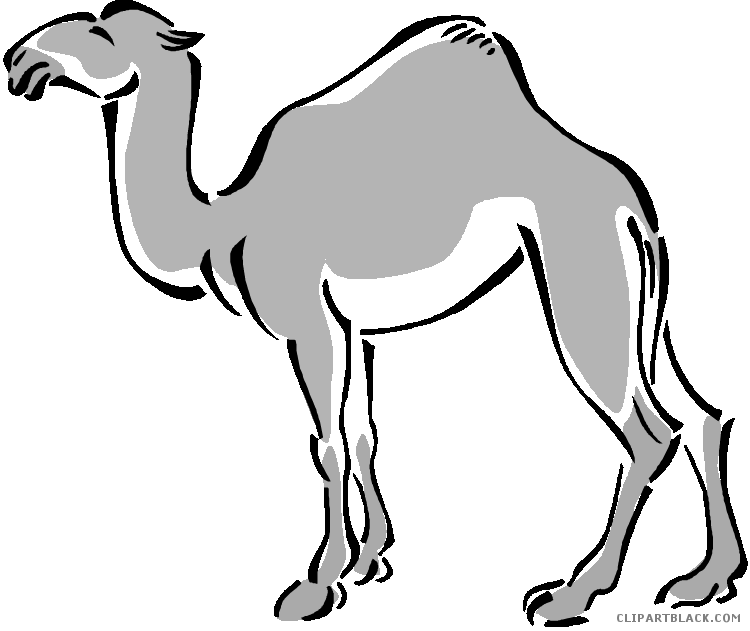 Camel Animal Free Black White Clipart Images Clipartblack - Clip Art (750x631)