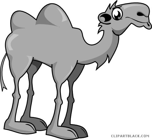 Camel Animal Free Black White Clipart Images Clipartblack - Clip Art Camel (496x456)