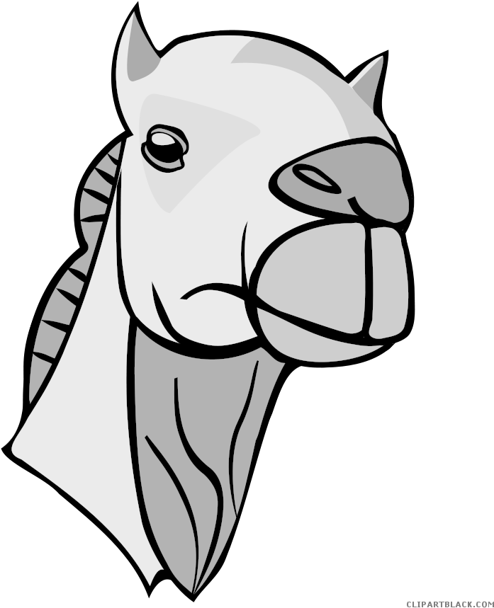 Camel Animal Free Black White Clipart Images Clipartblack - Best Gift - Camel Head Hoodie/t-shirt/mug Black/navy/pink/white (900x900)
