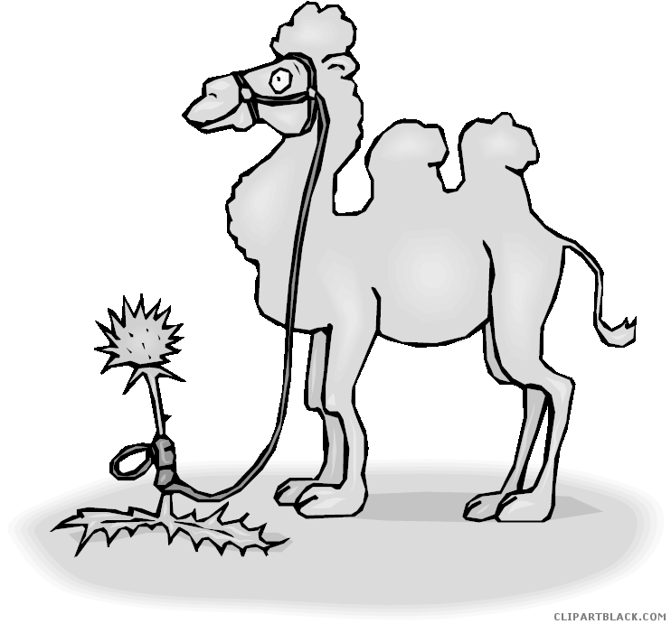 Camel Animal Free Black White Clipart Images Clipartblack - Camel Large Wall Clock (750x695)