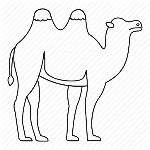 Drawn Camels Transparent - Camel Outline (512x512)