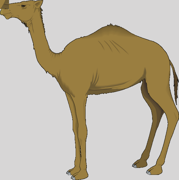 Camel Clip Art (594x596)