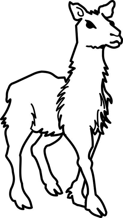 Drawn Camels Transparent - Lama Black And White (408x720)