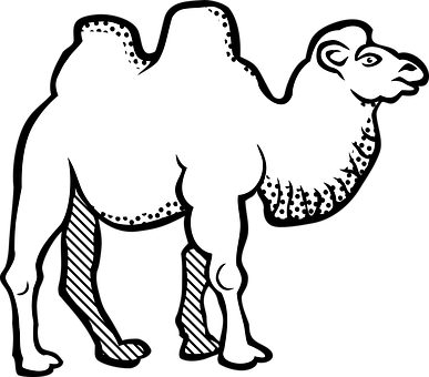 Animal Bactrian Camel Camel Animal Camel C - Letter Jeem In Arabic (387x340)