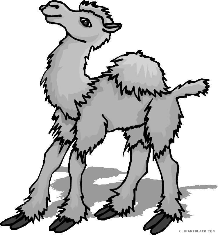 Camel Animal Free Black White Clipart Images Clipartblack - Moving Picture Of A Camel (750x809)