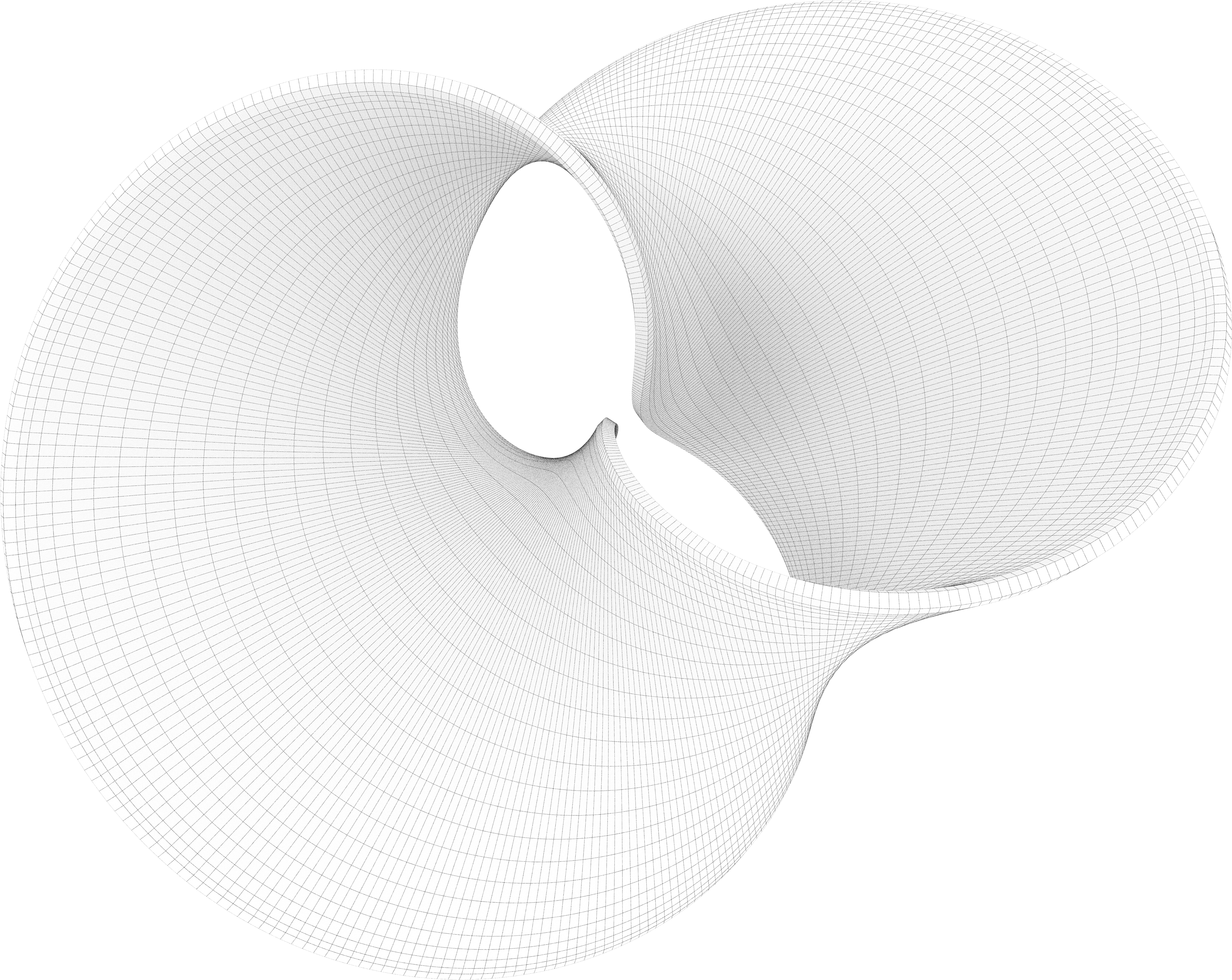 With One Twist, Sauces With Larger Elements Are Captured - Monochrome (4000x5000)