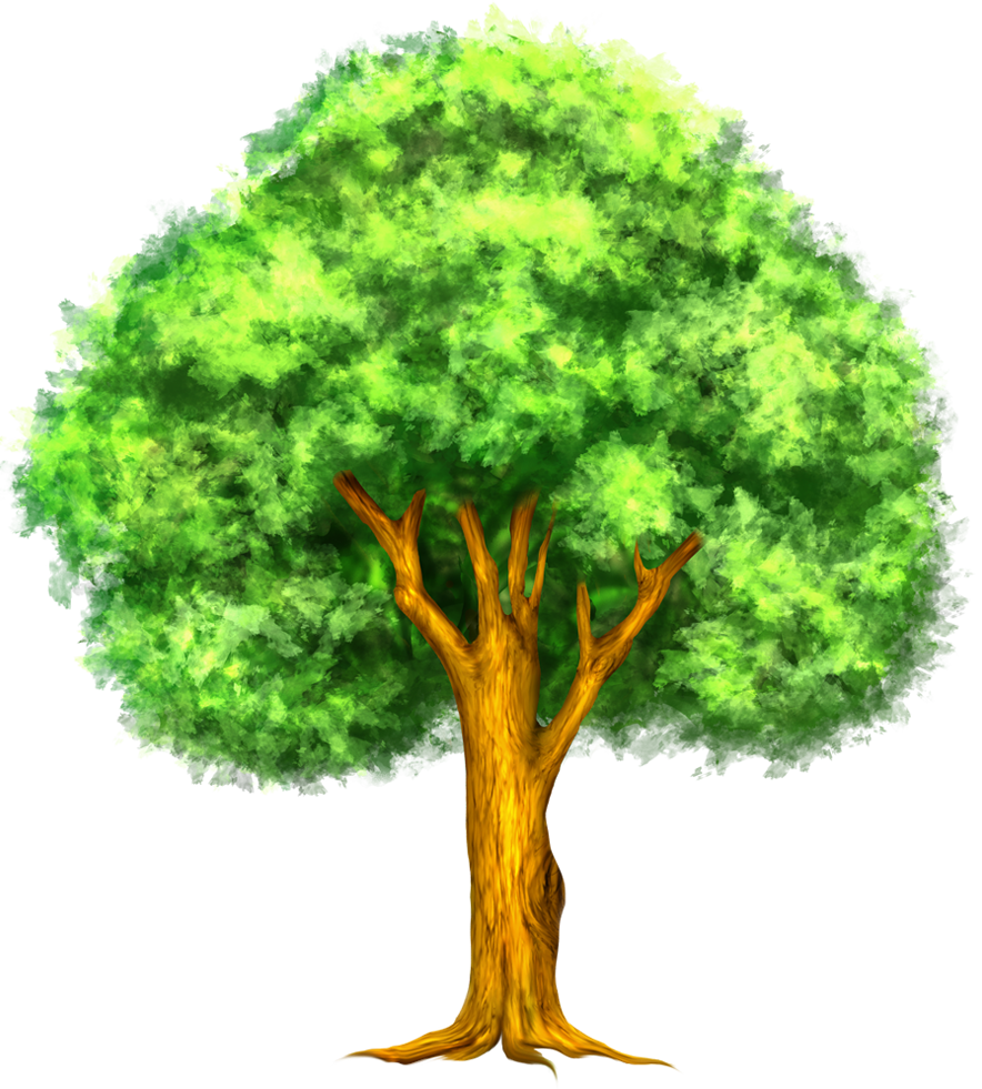 Tree Png Clipart Best Cliparts - Tree Clipart (884x981)