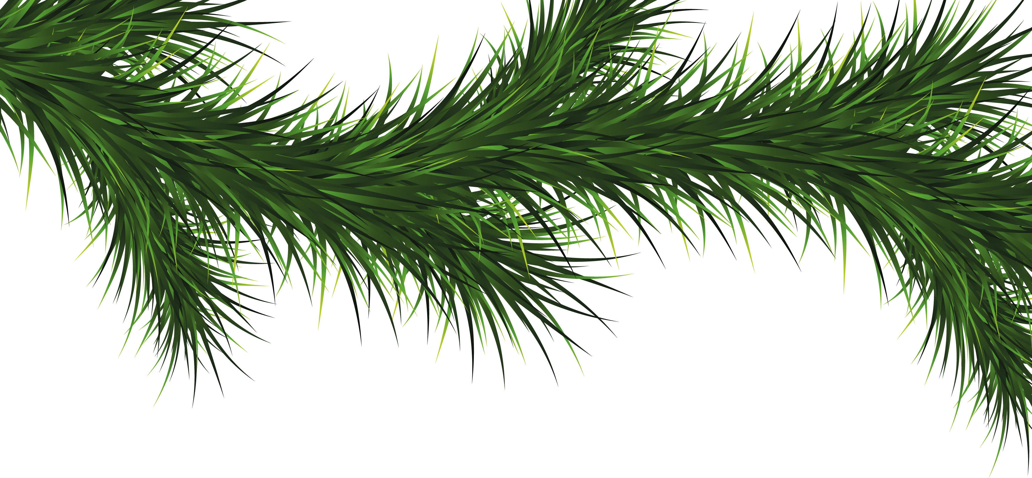 Christmas Tree Branch Vector Png (3515x1629)