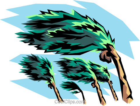 Hurricane Winds And Palm Tree Royalty Free Vector Clip - Does Wind Affect Weather (480x364)
