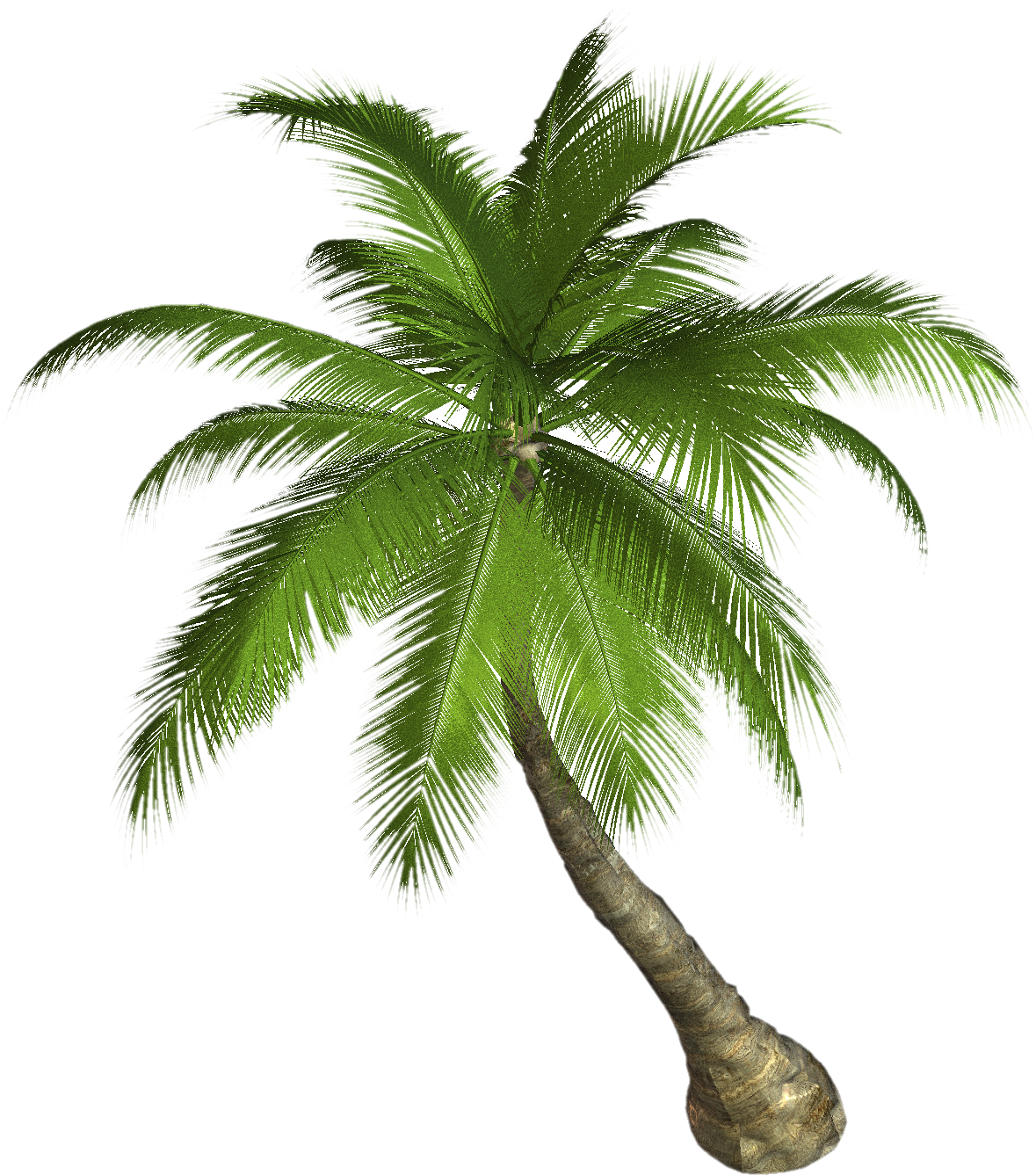 Free High Resolution Graphics And Clip Art Ovqvs9 Clipart - Palm Tree Clip Art (1179x1337)