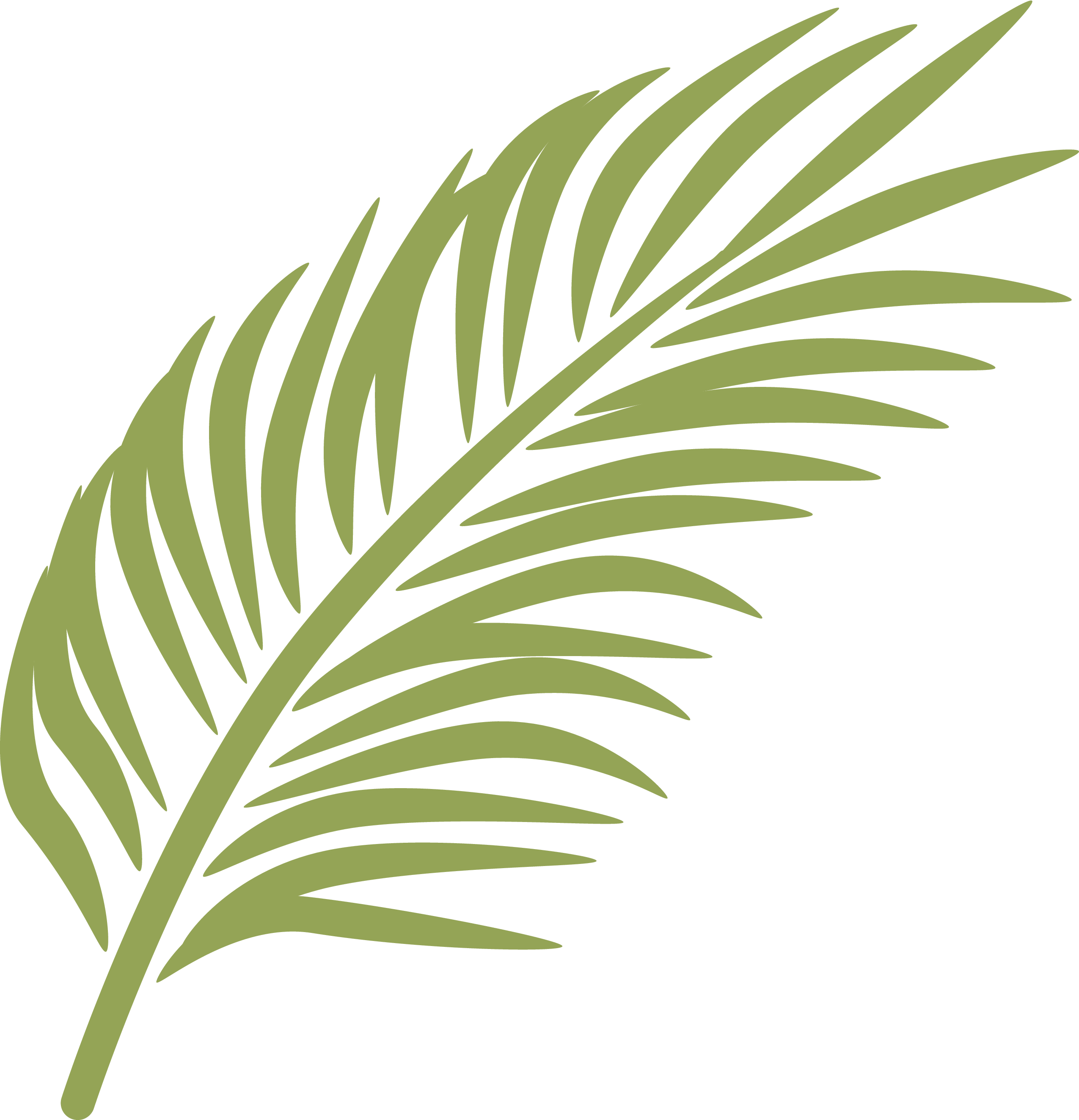 Palm Branch Palm Sunday Arecaceae Clip Art - Palm Leaves Clip Art (2550x2646)