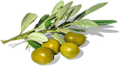 Almond - Olive (425x311)