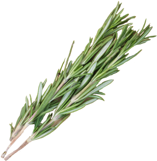 1 Bunch - Rosemary Png (640x640)