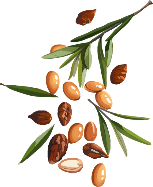 A Set Of Illustration For Brand Promotinal Media - A Set Of Illustration For Brand Promotinal Media (500x612)