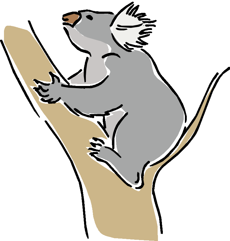 Free On Tree Branch Koala Clipart - Clip Art (750x788)