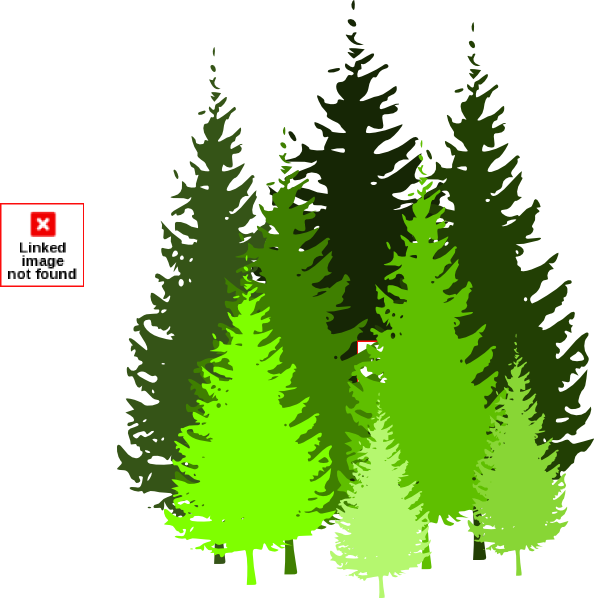 Pine Trees Clip Art At Clker - Pine Tree Vector Png (594x598)