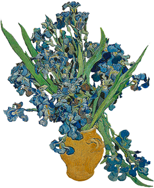 Van Gogh - Van Gogh Still Life (300x400)