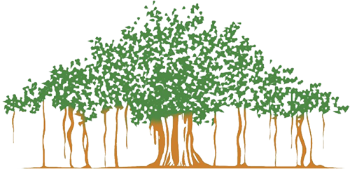 The Mighty Banyan Tree A - Banyan Tree Logo (500x241)