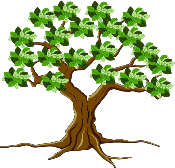 Trees ‿✿⁀°••○ - 卡通 有 根 的 樹 (600x577)