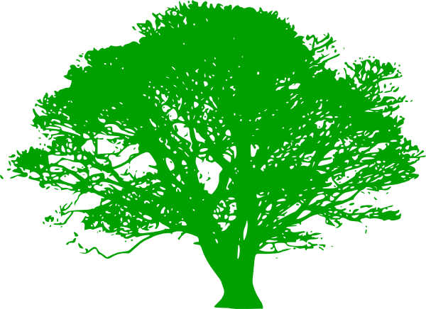 Oak Tree Clip Art Black And White (600x436)