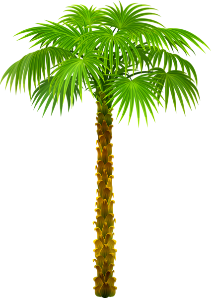 Palm Tree Clipart Images With Transparent Background - Palm Tree With Transparent Background (425x600)