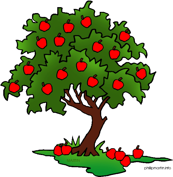 Trees Clipart Free Free Clipart Images - Fruit Tree Clip Art (644x648)