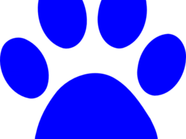 Panther Paw Clipart - Clip Art (640x480)