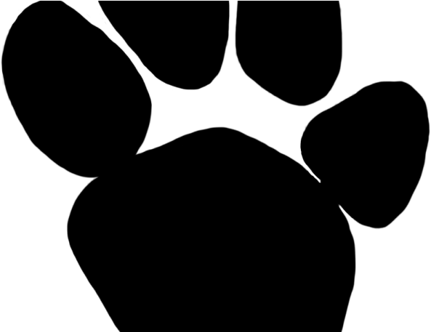Panther Paw Clipart - Clip Art (640x480)