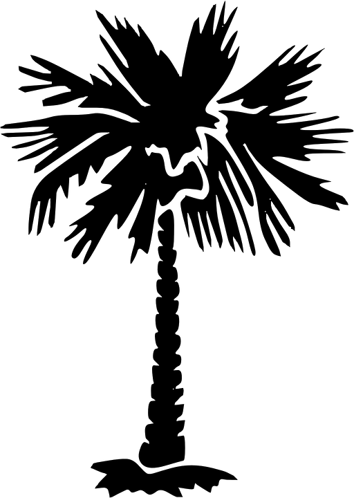 Palm Tree Clipart 20, - Palmetto Tree Png (512x720)