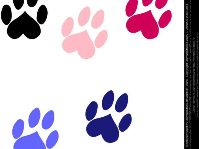 Dog Paw Prints Clipart - Dogs Paws Transparent Png (640x480)