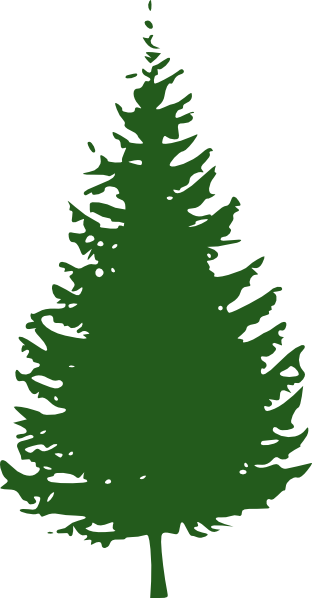 Fir Tree Clipart Redwood Tree - Redwood Tree Clip Art (312x598)