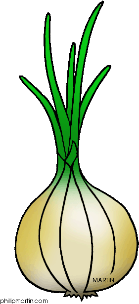 Royalty Free Onion Clipart - Vidalia Onion Clip Art (313x648)